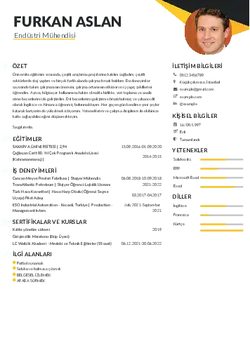 Endüstri Mühendisi CV Örnekleri cv indir